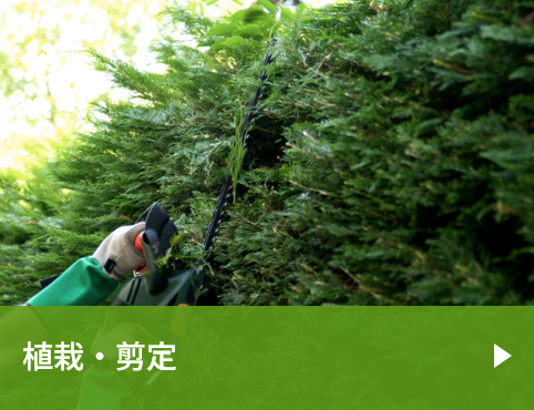 植栽・剪定