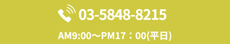 03-5848-8215